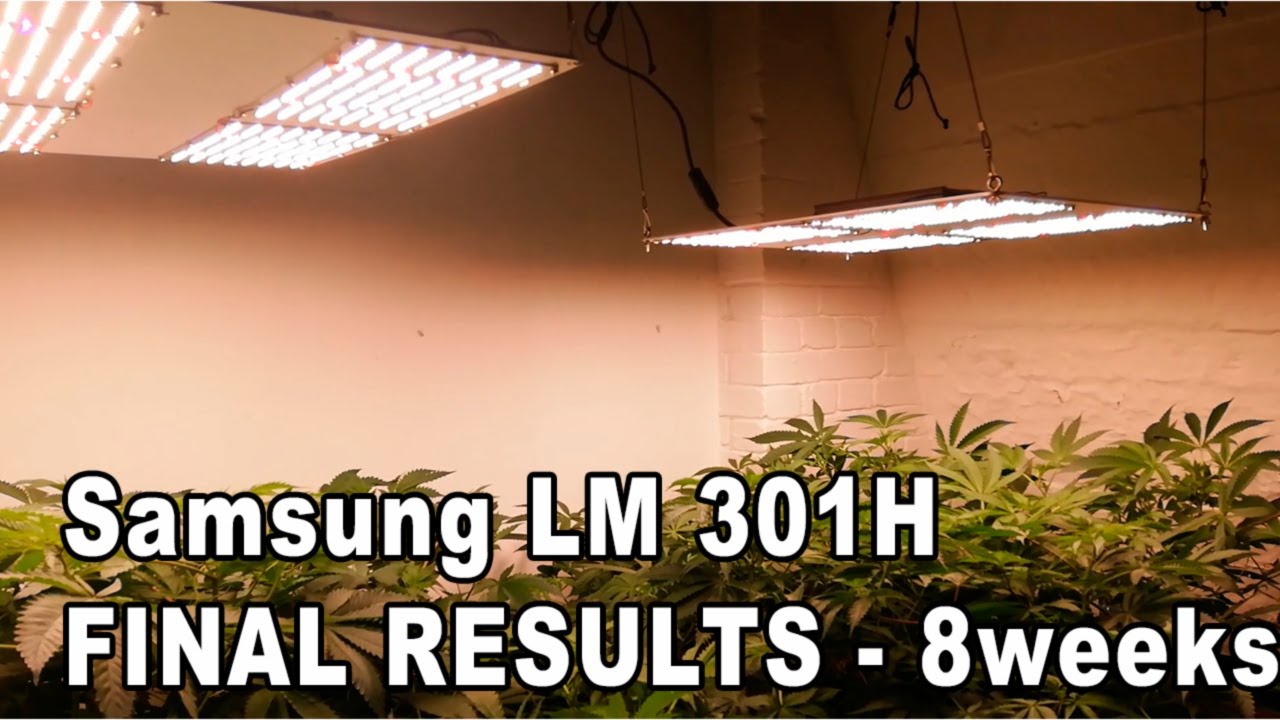 FINAL RESULTS - Newest LED Samsung Board LM301H with added IR and UV - TEST - 56 days in FLO