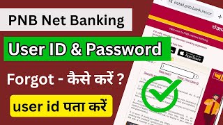 PNB Net Banking user id kaise pata kare | PNB Net Banking password forgot kaise kare 
