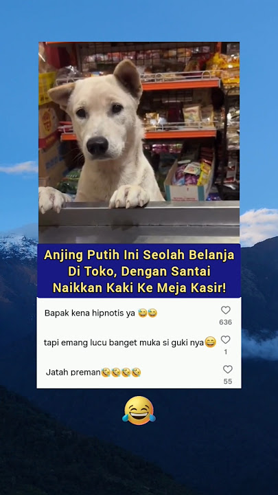 Mana Kepalanya Goyang-goyang Lagi! 😂