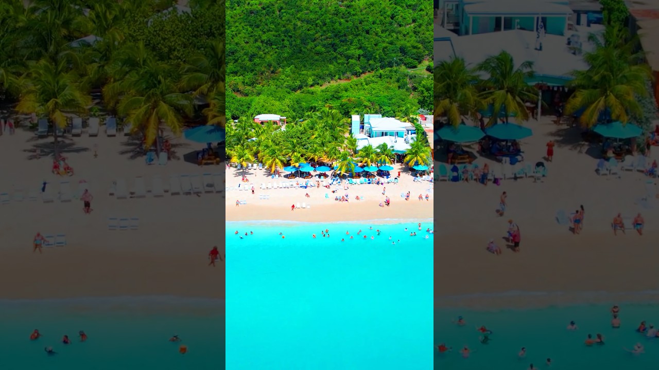 Blue Christmas! #bluechristmas #merrychristmas #beachchristmas #jostvandyke