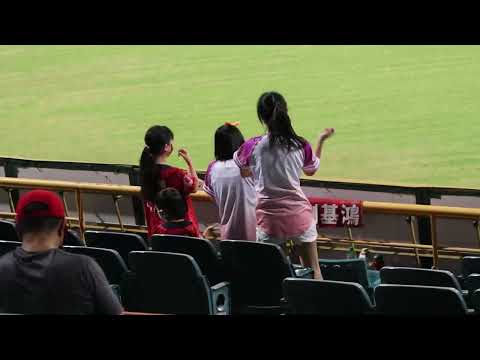 龍迷20220826客場版創造榮耀主題曲 #一軍例行賽 #新莊棒球場 #味全龍 #龍迷 #龍迷人聲應援大軍 #站立應援