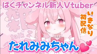 【春が来た！】新人Vtuberたれみみちゃん💕いきなり…