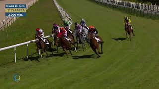 Vidéo de la course PMU PRIX PELUQUERIA MARBELL