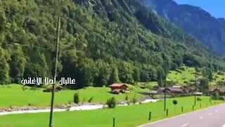 شي غريب ___ جوليا بطرس