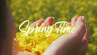 Spring Time | Seasonal Background | Screensaver