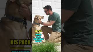 FI Dog Collar is SOLID!
Try Fi for your pet today!
Subscribe: https://bit.ly/3RGmNT4
About Nate From The Internet:
Welcome to the official Nate From The Internet YouTube channel! On this channel, you’ll find a variety of educational content including science experiments, experimental food, engineering marvels, and more. Make sure to subscribe and enable ALL notifications! For instant updates, check out the social media accounts above.
#Science #dogs #sponsored #NateFromTheInternet FI Dog Collar is SOLID!