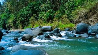 GENTLE STREAM & RIVER SOUNDS – NATURAL WHITE NOISE FOR SLEEP AND RELAXATION #95
