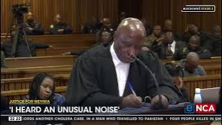 Senzo Meyiwa murder trial | Khaya Ngcatshe takes to the stand