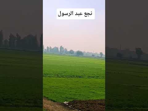 نجع عبد الرسول قصة حقيقة 