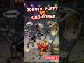AI Puppy vs Snake Fight 😳 #shorts #robotpuppy #kingcobra #aivideo