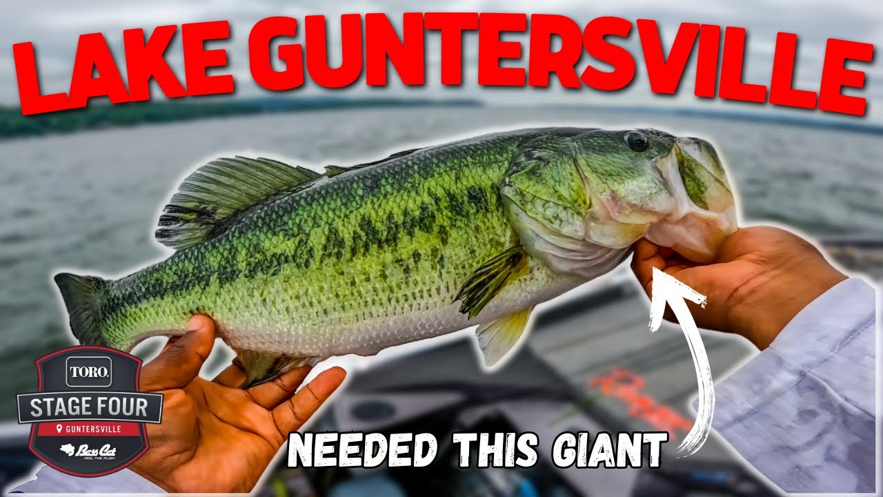 Я сделал эту КЛЮЧЕВУЮ КОРРЕКТИРОВКУ, чтобы пройти отборочный этап в Лейк-Гантерсвилле