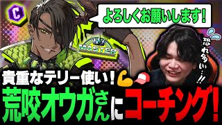 テリーの強み｜パワーウェイブの撃ち分け・ODクイックバーンが確定反撃を受けない理由・中段が強攻撃であること