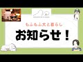 愛犬のドッグフード悩んでいませんか?体調に合ったフードやおやつを選びます!