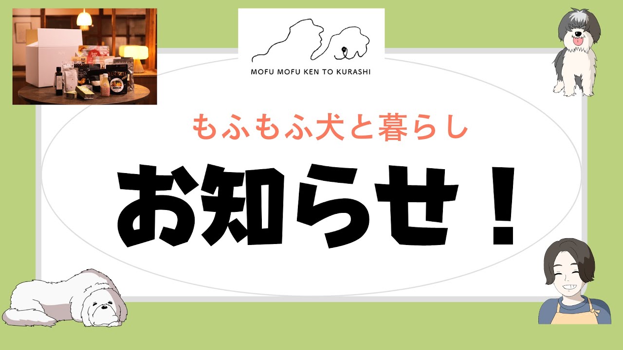 愛犬のドッグフード悩んでいませんか?体調に合ったフードやおやつを選びます!