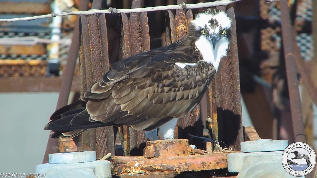 Richmond's day | Mar 7, 2026