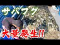 【衝撃】皆様お待たせしました！網から溢れんばかりのお魚が...