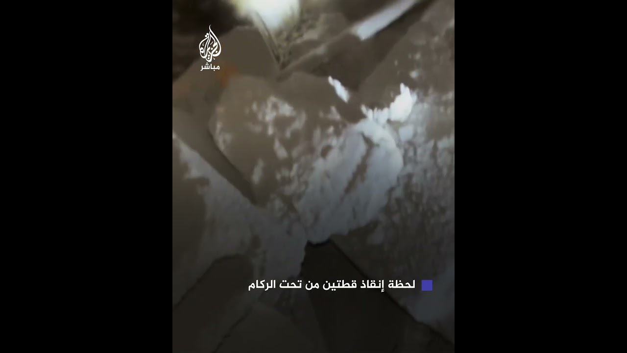 لقطات لنجاح فلسطيني في إنقاذ قطتين من تحت الركام عقب قصف إسرائيلي لأحد المنازل في قطاع غزة