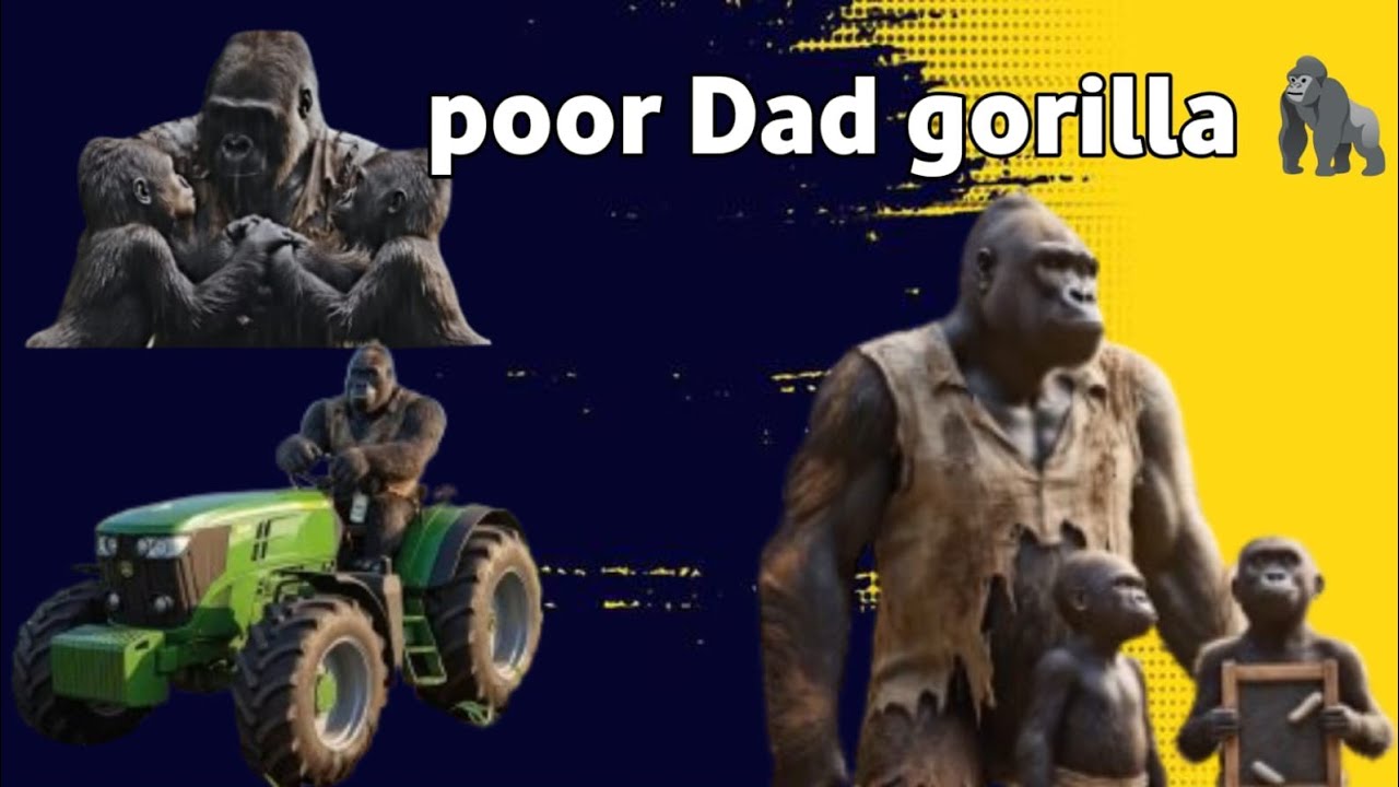A Poor Gorilla Dad’s Journey Fighting for a Better Future for His Kids