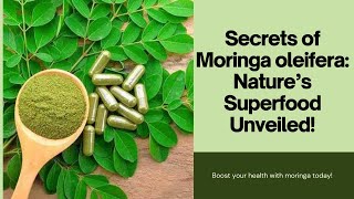 The Miracle of Moringa: Unveiling Nature's Most Powerful Superfood