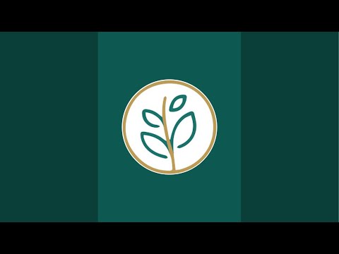 بدأت قناة "تيم كريم | Team Kareem " بثًا مباشرًا