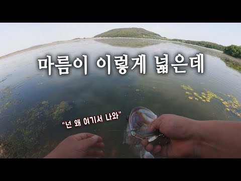 사산지 마름 위 프로그, 버징으로 <strong>출발하다</strong>! 근데 왜 여기서_[배스PD수첩_04 사산저수지]