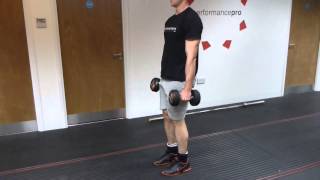 DB reverse lunge