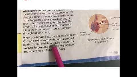 Class - 5 l Science l Lecture 16 Part 1 l Spring Holidays
