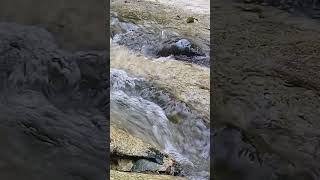 20 Seconds to Just Breathe