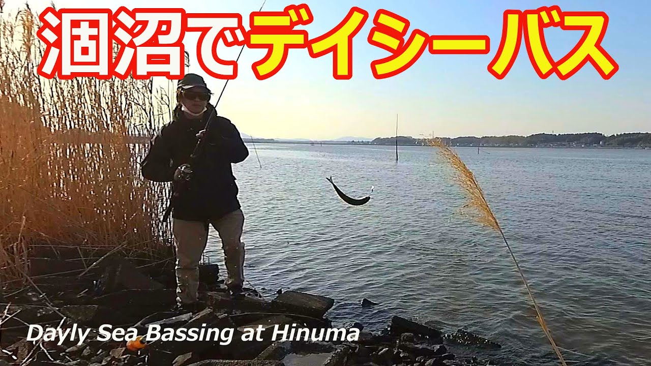 シーバス 茨城県涸沼でデイシーバス 涸沼 21年3月下旬 Sea Bass Day Seabass In The Hinuma Youtube