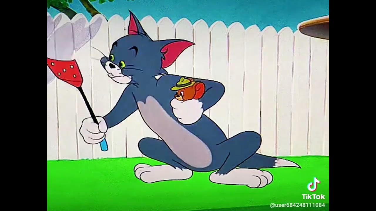 Tom Cat Mouse Funny Video