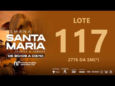 LOTE 117 FSM A2776