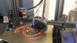 Hyper Timelapse Dragon Green Red