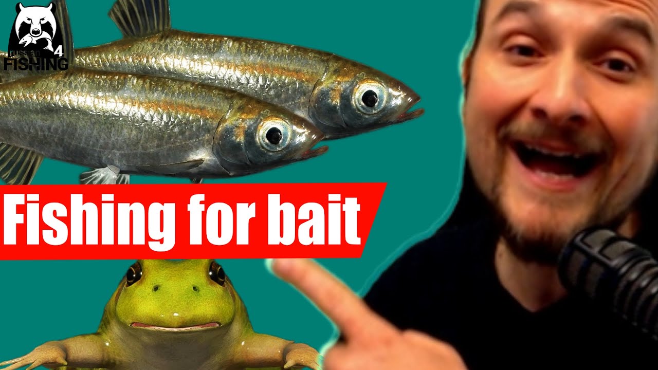 Russian Fishing 4 - Mosquito Lake - Bleak and Frog, Fishing for baitfish