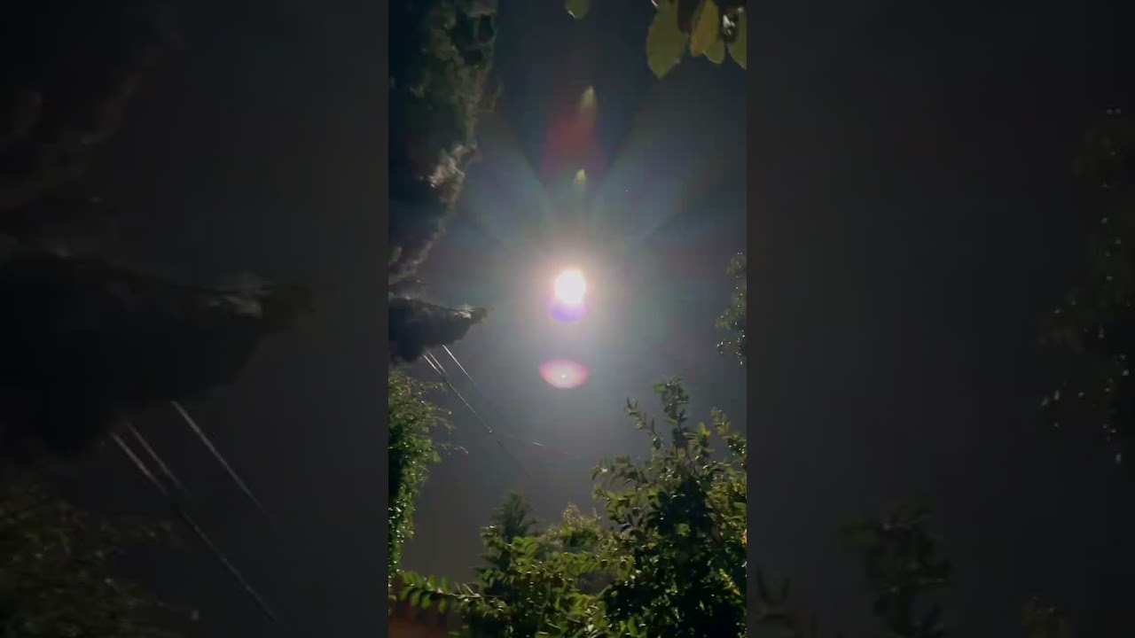 11 февраля 2026 г.