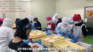 虎杖浜たらこの販売 通販 明太子 小学生がたらこのパック詰めに挑戦