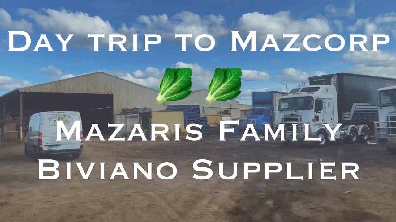 Mazcorp Farms - growing cabbages - Biviano Diretc ( Supporting Local Growers ).