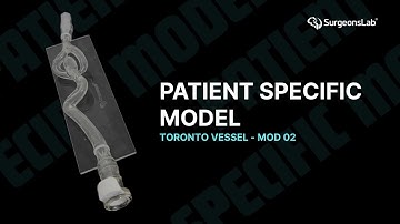 Revolutionizing Vascular Training | Watch the Toronto Vessel Setup in Action | SurgeonsLab AG