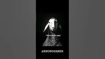 يا صغيري لما لا تنام اكسبلور ماشا 