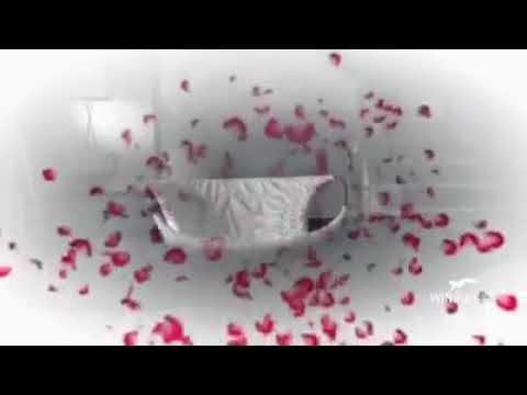 გაზიარება