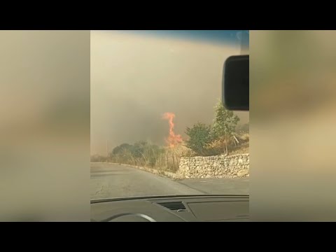 Incendio Simeri Crichi, Ettari di terreni bruciati, danni a strutture e animali