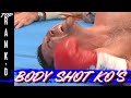 10 Body Shot Knockouts That Destroyed Fighters | Top Rank'd