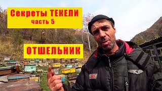 Секреты ТЕКЕЛИ! ОТШЕЛЬНИК!