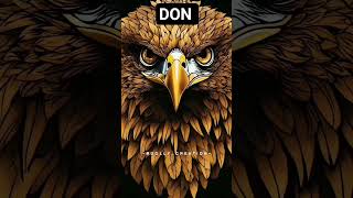 Download Lagu #remix dj   Don MP3