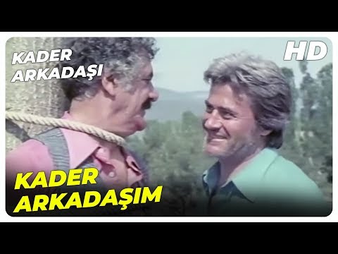 Kader Arkadaşı - Yusuf, Kader Arkadaşını Kurtardı! | Cüneyt Arkın Eski Türk Filmi