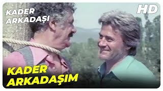 Kader Arkadaşı - Yusuf, Kader Arkadaşını Kurtardı! | Cüneyt Arkın Eski Türk Filmi