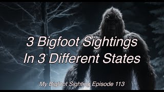 3 Bigfoot Sightings in 3 Different States - My Bigfoot Sighting Episode 113