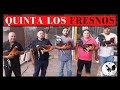 CRIADERO DE GALLOS FINOS, MAS DE 3 MIL AVES POR TEMPORADA | QUINTA LOS FRESNOS CHILO RUEDA 🔥