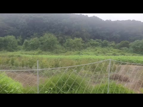 여기가 바로 윤희숙 부친의 <strong>세종시</strong> 땅(※현시점 가장 핫한 <strong>부동산</strong>※)