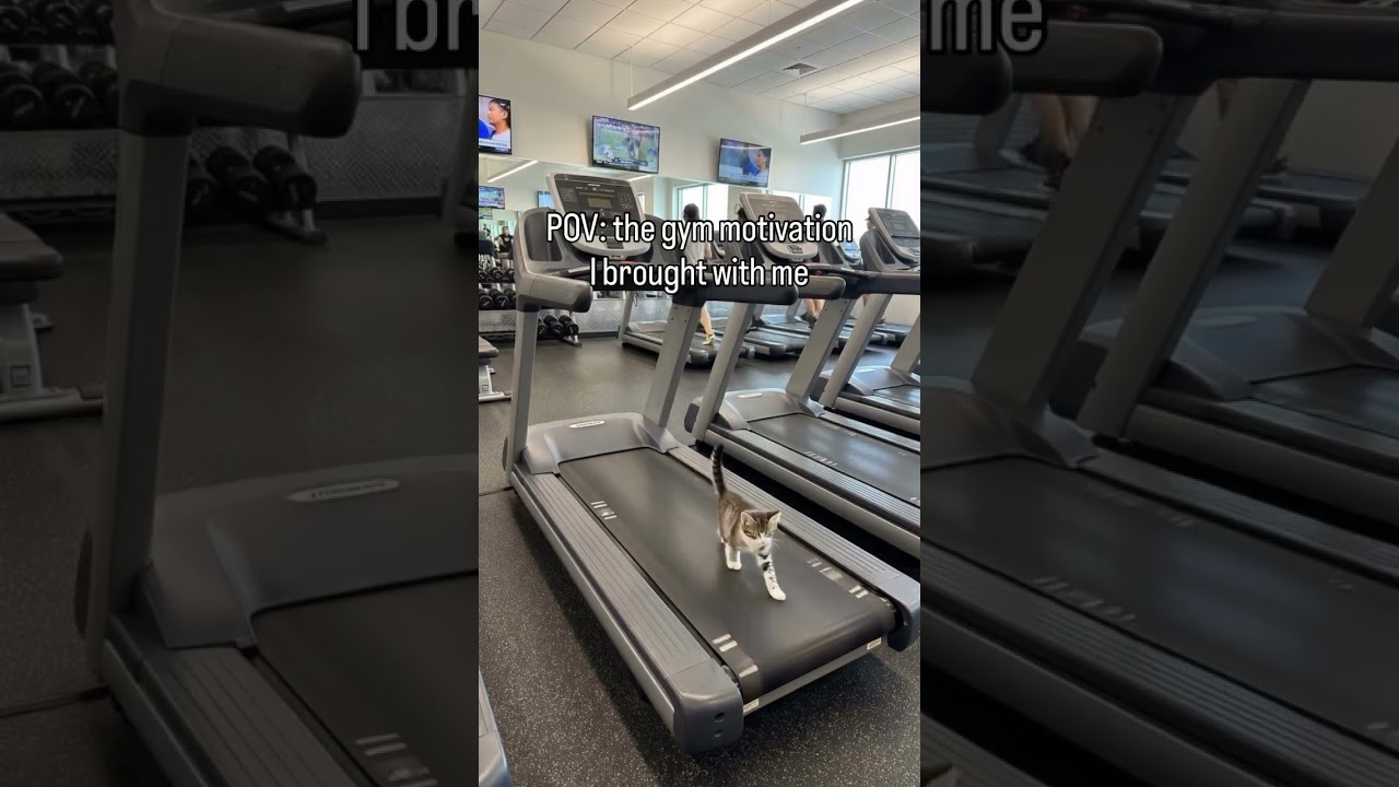 This is my accountability partner 😉