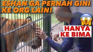 PEGANG HARIMAU DAN SEMUA HEWAN MILIK ALSHAD! ALSHAD KAGET !!